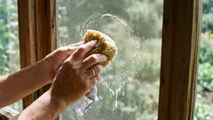 Siatka przeciwkomarowa będzie jak nowa w 10 minut: prosty sposób na szybkie czyszczenie przy użyciu domowych środków