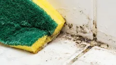 Ten napój mleczny natychmiast usuwa plamy z pleśni.