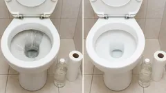 Rolka papieru toaletowego i ocet: prosty sposób na usunięcie kamienia z muszli klozetowej i przywrócenie jej pierwotnego wyglądu.