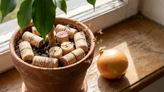 Pozbyłem się much z cebuli i kwiatów za pomocą zwykłego korka od wina (i polecam wam zrobić to samo – to działa!).