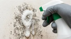 Jak szybko usunąć pleśń ze ścian: podpowiadamy, jakie domowe sposoby mogą w tym pomóc